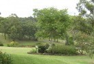 Reynella Eastresidential-landscaping-40.jpg; ?>